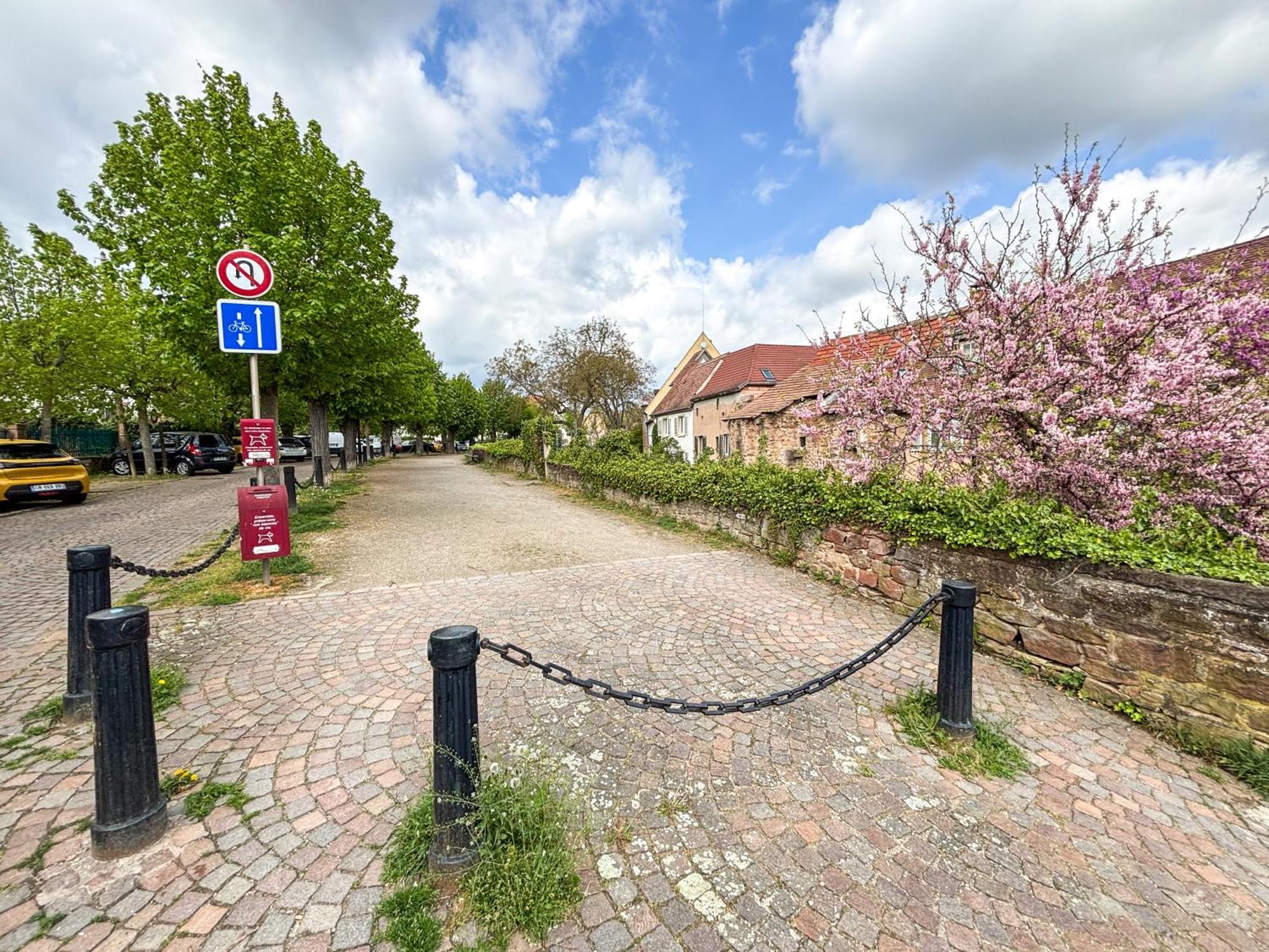 Le Pavillon Des Remparts - Commerces A Proximite - Centre-Ville - Appartement Cosy Obernai Buitenkant foto